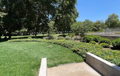 Parque central - 19