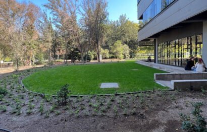 Parque central - 7