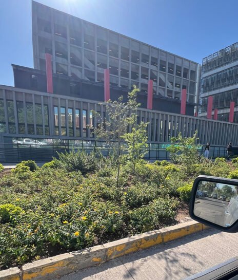 edificio pataguas-3