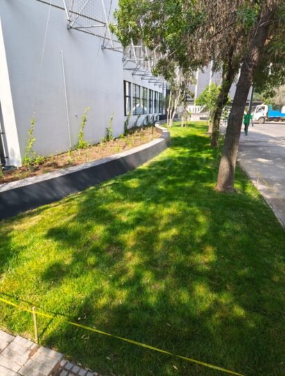 PROYECTO COLLEGE UC SJ (9)