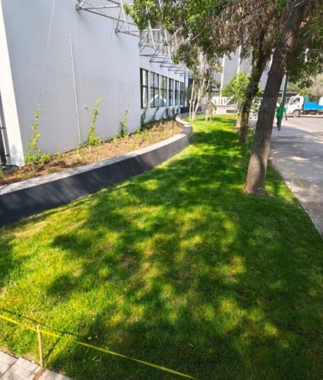 PROYECTO COLLEGE UC SJ (9)